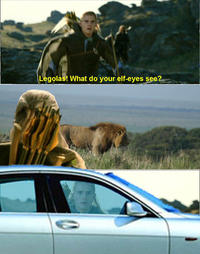 What do your elf eyes see?