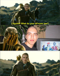 What do your elf eyes see?