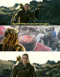 What do your elf eyes see?