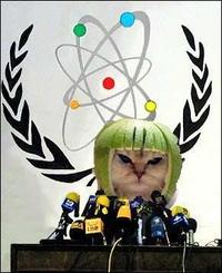 Limecat