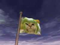 Limecat