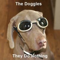 The Goggles Do Nothing!
