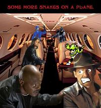 Snakes on a Plane