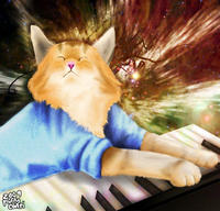 Keyboard Cat