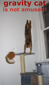 Gravity Cat