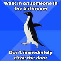 Socially Awkward Penguin