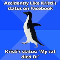 Socially Awkward Penguin