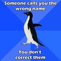 Socially Awkward Penguin