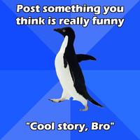 Socially Awkward Penguin