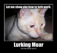 Lurk Moar