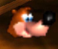 20080516134420_Banjo_icon20110724-22047-13il5tt.png