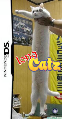 Longcat