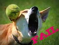 FAIL