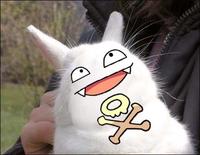 Bunnyfaic