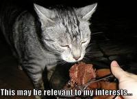 This is Relevant to My Interest
