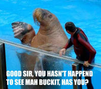 Lolrus