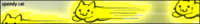 Speedycat