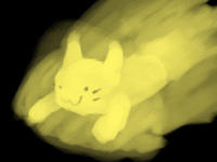 Speedycat