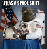 Harmony Central Amp Forum Astronauts!