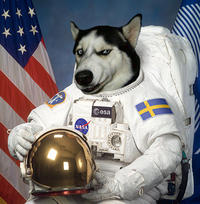 Harmony Central Amp Forum Astronauts!