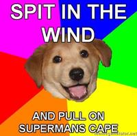 Advice Dog