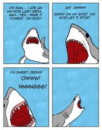The Singing Shark