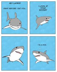 The Singing Shark
