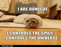 Lolcatdune