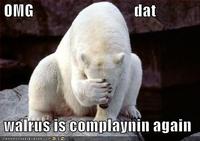 Lolrus