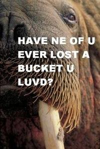 Lolrus
