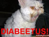 Diabeetus