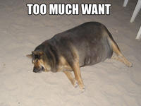 Do Want / Do Not Want