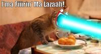Shoop Da Whoop / I’M A’ FIRIN’ MAH LAZER!!