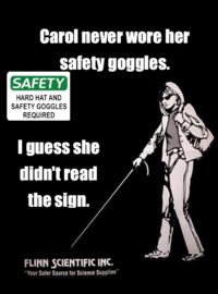 Carol’s Safety Goggles