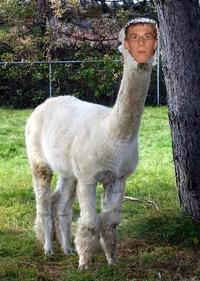 Dick Neck
