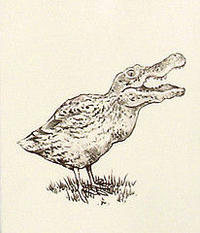 Crocoduck