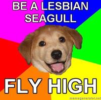 Advice Dog