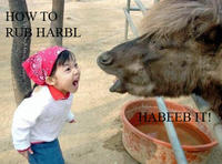 Habeeb It