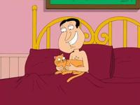 A Cat Is Fine Too