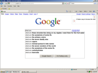 Google Search Box Suggestions
