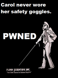 Carol’s Safety Goggles
