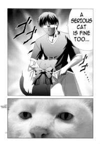 A Cat Is Fine Too