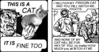 A cat is fine too....