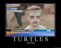 Turtles1