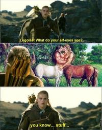 What do your elf eyes see?