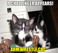 A Challenger Appears