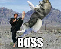 Boss