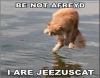 LOLcats