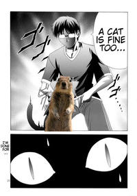 Crasher Squirrel