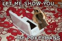 Crasher Squirrel
